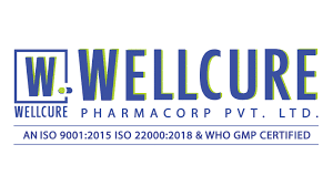 Top 10 PCD Pharma Franchise Companies in Chhattisgarh Wellcure Pharmacorp Pvt. Ltd.