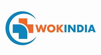 Top 10 PCD Pharma Franchise Companies in Jaipur Wokindia Pharmaceuticals