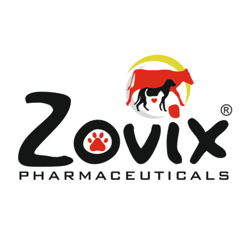 Top 10 PCD Franchise Company in Rourkela Zovix Pharmaceuticals